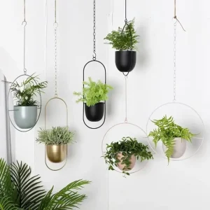 Modern Iron Plant Pot Hanging Bucket with Hook
