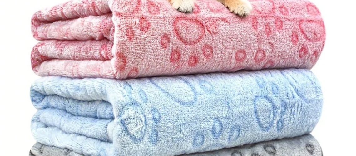 imgi_14_Sd0ff05910e1f497c81b9ba02c226ce0c2